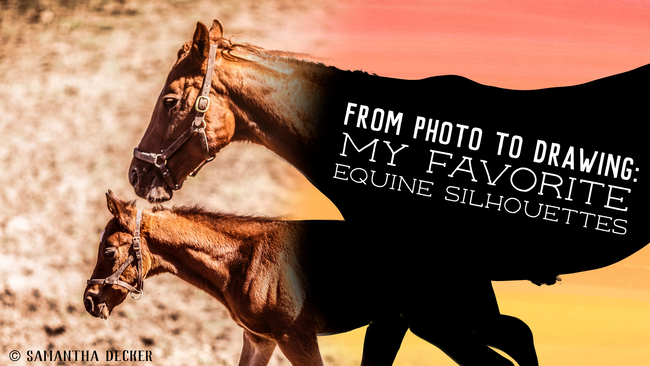 From Photo to Drawing My Favorite Equine Silhouettes Photography by