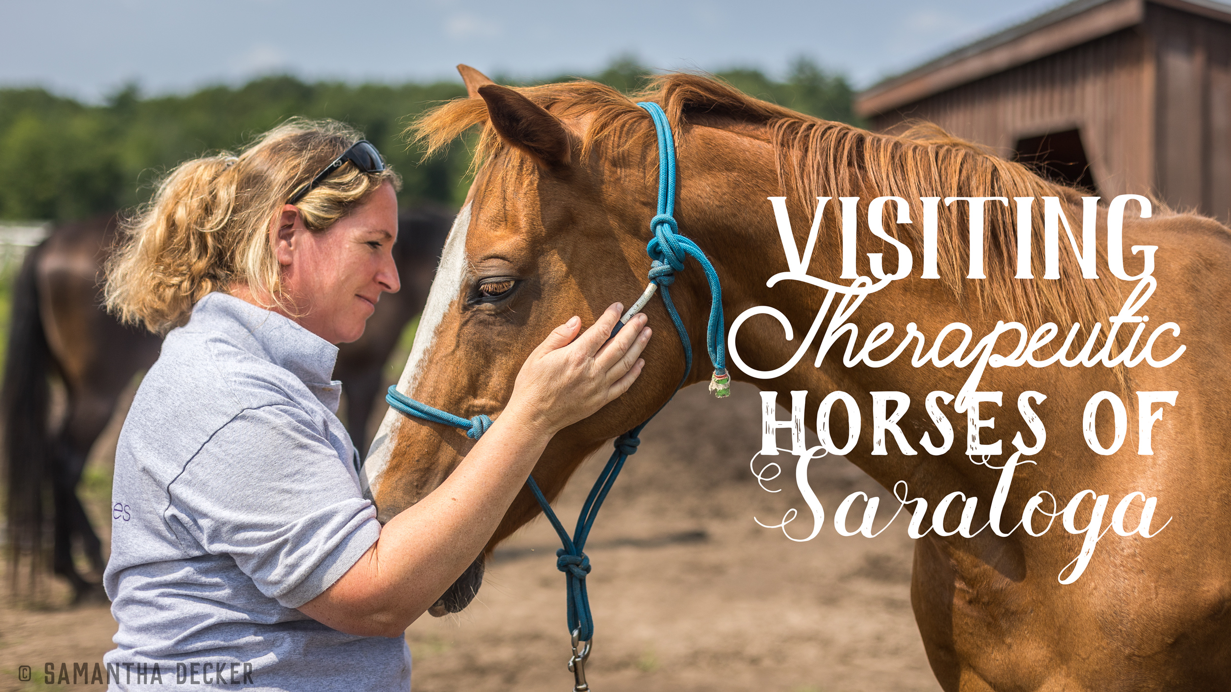 Visiting Therapeutic Horses of Saratoga - Photography by Samantha Decker