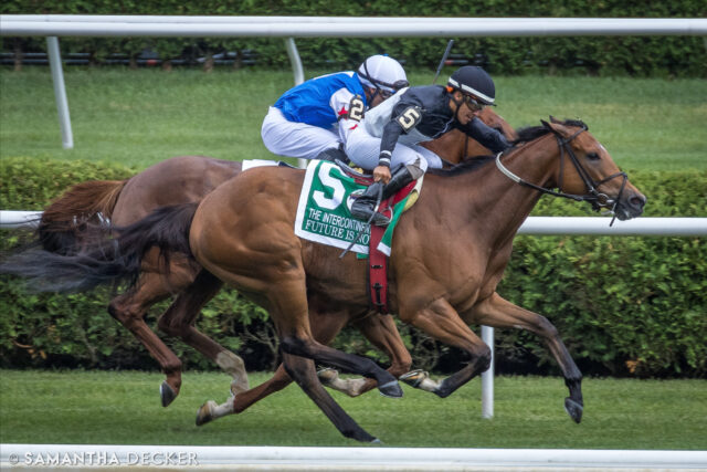 Maryland-bred Future Is Now looks to defend her title in the Grade II Intercontinental Stakes at Saratoga today.  If she wins, it will be her fourth consecutive stakes victory.

© Samantha Decker.  All rights reserved.  Permission must be obtained for reuse.
.
.
.
.
.
#iloveny #ilovenewyork #upstateny #upstatenewyork #thisisuspstate #newyorkonly #newyorksbackyard #saratogacounty #ilovesaratoga #saratoga #saratogasprings #saratogaspringsny #discoversaratoga #canon #canonphotography #teamcanon #horsesofinstagram #thoroughbredsofinstagram #saratogaracetrack #saratogaracecourse
