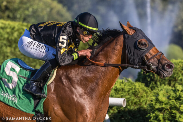 MGSW Running Bee is entered in the Grade I Turf Classic today on the @kentuckyderby undercard.  The Chad Brown trainee is coming off a win in the Grade III Tampa Bay Stakes in February.

Shot for the @saratoga_special 

© Samantha Decker.  All rights reserved.  Permission must be obtained for reuse.
.
.
.
.
.
#iloveny #ilovenewyork #upstateny #upstatenewyork #thisisuspstate #newyorkonly #newyorksbackyard #saratogacounty #ilovesaratoga #saratoga #saratogasprings #saratogaspringsny #discoversaratoga #canon #canonphotography #teamcanon #horsesofinstagram #thoroughbredsofinstagram #saratogaracetrack #saratogaracecourse