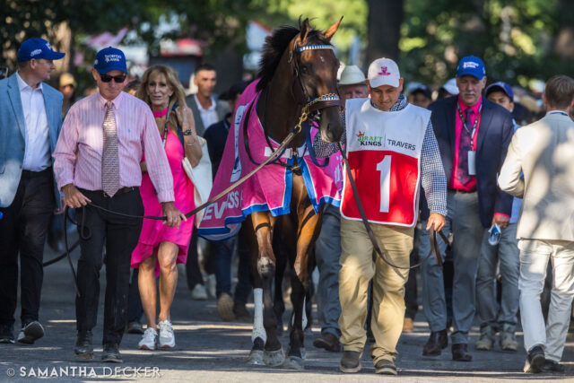 Horse of the Year Thorpedo Anna, thus far undefeated in 2025, is entered in the Grade I La Troienne Stakes at @churchilldowns on Friday, where she took the Kentucky Oaks in commanding fashion last year.  The four year old filly is coming off a win in the Grade I Apple Blossom Stakes at @oaklawnhotsprings earlier this month.

© Samantha Decker.  All rights reserved.  Permission must be obtained for reuse.
.
.
.
.
.
#iloveny #ilovenewyork #upstateny #upstatenewyork #thisisuspstate #newyorkonly #newyorksbackyard #saratogacounty #ilovesaratoga #saratoga #saratogasprings #saratogaspringsny #discoversaratoga #canon #canonphotography #teamcanon #horsesofinstagram #thoroughbredsofinstagram #saratogaracetrack #saratogaracecourse