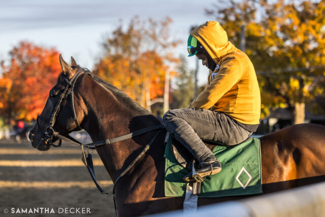 The @kentuckyderby is the only major race that eludes @godolphin.  Will Sovereignty change that?

© Samantha Decker.  All rights reserved.  Permission must be obtained for reuse.
.
.
.
.
.
#iloveny #ilovenewyork #upstateny #upstatenewyork #thisisuspstate #newyorkonly #newyorksbackyard #saratogacounty #ilovesaratoga #saratoga #saratogasprings #saratogaspringsny #discoversaratoga #canon #canonphotography #teamcanon #horsesofinstagram #thoroughbredsofinstagram #saratogaracetrack #saratogaracecourse