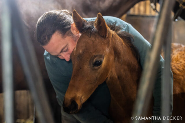 Captured on Friday, Sean Mahoney of Mahoney Eden Manor in Saratoga hugs Roxanne, a Warrior's Charge filly and the last foal out of Hennyville, Sean and @brittwadsworth69's beloved broodmare who sadly passed away in March.  Sean is pictured hugging Hennyville in the last photo, taken in 2023.

© Samantha Decker.  All rights reserved.  Permission must be obtained for reuse.
.
.
.
.
.
#iloveny #ilovenewyork #upstateny #upstatenewyork #thisisuspstate #newyorkonly #newyorksbackyard #saratogacounty #ilovesaratoga #saratoga #saratogasprings #saratogaspringsny #discoversaratoga #canon #canonphotography #teamcanon #horsesofinstagram #thoroughbredsofinstagram