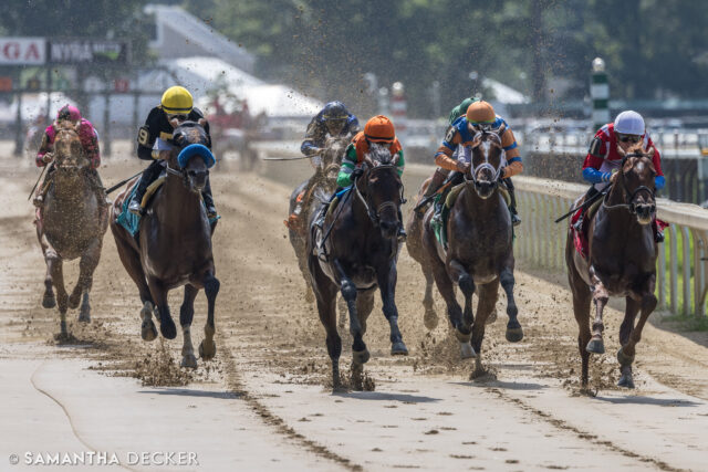 @belmontstakes contender Uncaged (second from right) broke his maiden first time out at Saratoga last summer.  The Todd Pletcher trainee has drawn post 4 for the big race.

Shot for the @saratoga_special 

© Samantha Decker.  All rights reserved.  Permission must be obtained for reuse.
.
.
.
.
.
#iloveny #ilovenewyork #upstateny #upstatenewyork #thisisuspstate #newyorkonly #newyorksbackyard #saratogacounty #ilovesaratoga #saratoga #saratogasprings #saratogaspringsny #discoversaratoga #canon #canonphotography #teamcanon #horsesofinstagram #thoroughbredsofinstagram #saratogaracetrack #saratogaracecourse