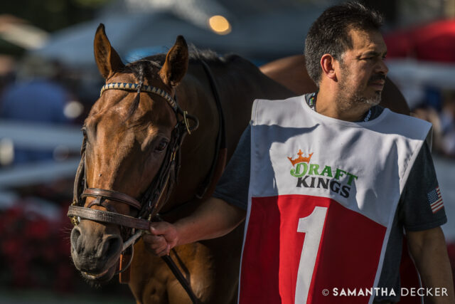 GSW World Record is entered in the Grade III Aristides Stakes at @churchilldowns next Saturday.  The Rodolphe Brisset trainee is coming off an allowance optional claiming win at Churchill Downs earlier this month.

Shot for the @saratoga_special 

© Samantha Decker.  All rights reserved.  Permission must be obtained for reuse.
.
.
.
.
.
#iloveny #ilovenewyork #upstateny #upstatenewyork #thisisuspstate #newyorkonly #newyorksbackyard #saratogacounty #ilovesaratoga #saratoga #saratogasprings #saratogaspringsny #discoversaratoga #canon #canonphotography #teamcanon #horsesofinstagram #thoroughbredsofinstagram #saratogaracetrack #saratogaracecourse