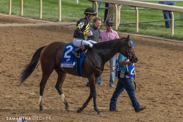 GSW Gin Gin is entered in the Grade III Shawnee Stakes at @churchilldowns on Saturday.  The Brendan Walsh trainee won the Grade III Doubledogdare Stakes at @keeneland in April last time out.

© Samantha Decker.  All rights reserved.  Permission must be obtained for reuse.
.
.
.
.
.
#canon #canonphotography #teamcanon #horsesofinstagram #thoroughbredsofinstagram #visitkentucky #kentucky #travelkentucky #visithorsecountry #visitlex #keeneland