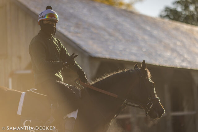 Two years ago today:  A morning at the Oklahoma Track

© Samantha Decker.  All rights reserved.  Permission must be obtained for reuse.
.
.
.
.
.
#iloveny #ilovenewyork #upstateny #upstatenewyork #thisisuspstate #newyorkonly #newyorksbackyard #saratogacounty #ilovesaratoga #saratoga #saratogasprings #saratogaspringsny #discoversaratoga #canon #canonphotography #teamcanon #horsesofinstagram #thoroughbredsofinstagram #oklahomatrainingtrack