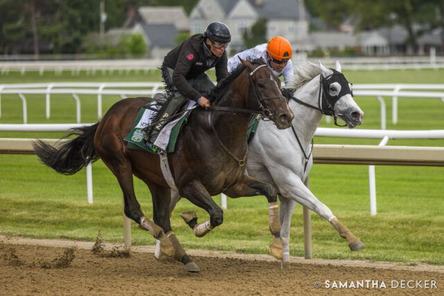 @kentuckyderby winner Sovereignty (outside) breezed in company with Whitney winner Arthur's Ride yesterday at Saratoga.

© Samantha Decker.  All rights reserved.  Permission must be obtained for reuse.
.
.
.
.
.
#iloveny #ilovenewyork #upstateny #upstatenewyork #thisisuspstate #newyorkonly #newyorksbackyard #saratogacounty #ilovesaratoga #saratoga #saratogasprings #saratogaspringsny #discoversaratoga #canon #canonphotography #teamcanon #horsesofinstagram #thoroughbredsofinstagram #oklahomatrainingtrack
