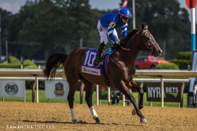 Congratulations to the connections of Sovereignty, winner of the 151st @kentuckyderby!  Flashback to Travers day 2024 at Saratoga, when he made his debut.

© Samantha Decker.  All rights reserved.  Permission must be obtained for reuse.
.
.
.
.
.
#iloveny #ilovenewyork #upstateny #upstatenewyork #thisisuspstate #newyorkonly #newyorksbackyard #saratogacounty #ilovesaratoga #saratoga #saratogasprings #saratogaspringsny #discoversaratoga #canon #canonphotography #teamcanon #horsesofinstagram #thoroughbredsofinstagram #saratogaracetrack #saratogaracecourse #kentuckyderby