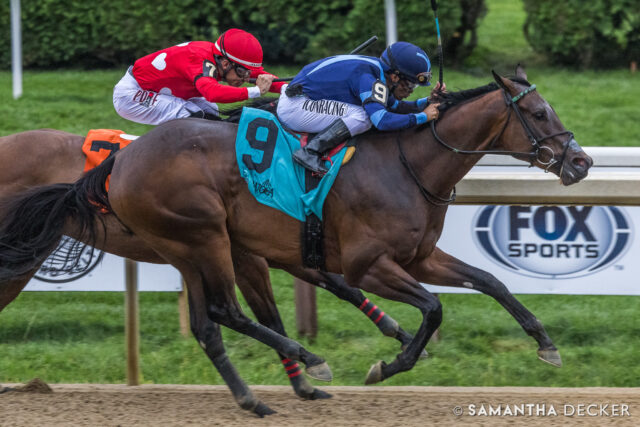 MGSW Brightwork makes her seasonal debut in the Grade III Winning Colors Stakes at @churchilldowns today.  The John Ortiz trainee's last victory came in the Grade III Prioress Stakes at Saratoga last summer.

Shot for the @saratoga_special 

© Samantha Decker.  All rights reserved.  Permission must be obtained for reuse.
.
.
.
.
.
#iloveny #ilovenewyork #upstateny #upstatenewyork #thisisuspstate #newyorkonly #newyorksbackyard #saratogacounty #ilovesaratoga #saratoga #saratogasprings #saratogaspringsny #discoversaratoga #canon #canonphotography #teamcanon #horsesofinstagram #thoroughbredsofinstagram #saratogaracetrack #saratogaracecourse
