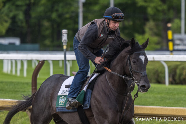 @belmontstakes contender Heart of Honor spotted on the Saratoga main track yesterday!

© Samantha Decker.  All rights reserved.  Permission must be obtained for reuse.
.
.
.
.
.
#iloveny #ilovenewyork #upstateny #upstatenewyork #thisisuspstate #newyorkonly #newyorksbackyard #saratogacounty #ilovesaratoga #saratoga #saratogasprings #saratogaspringsny #discoversaratoga #canon #canonphotography #teamcanon #horsesofinstagram #thoroughbredsofinstagram #saratogaracetrack #saratogaracecourse