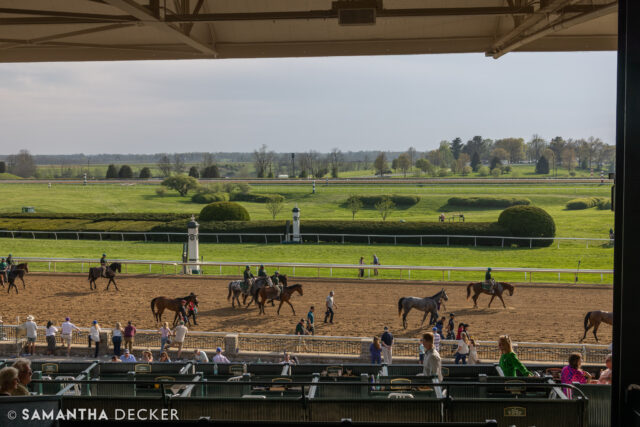 Big news today, with the announcement that @breederscup 2026 will be held at @keeneland and 2027 will be held at the new Belmont Park!  Excited to see it coming back to the east coast.  As for Belmont, it will have been more than 20 years since the New York track has hosted it.

© Samantha Decker.  All rights reserved.  Permission must be obtained for reuse.
.
.
.
.
.
#canon #canonphotography #teamcanon #horsesofinstagram #thoroughbredsofinstagram #visitkentucky #kentucky #travelkentucky #visithorsecountry #visitlex #iloveny #ilovenewyork #newyorkonly #belmont #belmontpark #belmont #elmont #sonyphotography #shotonsony