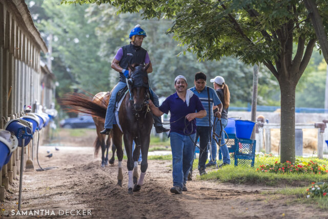 MGSW Skelly is entered in the Grade III Aristides Stakes at @churchilldowns on Saturday.  The Steve Asmussen trainee is approaching the $2 million mark in earnings.

© Samantha Decker.  All rights reserved.  Permission must be obtained for reuse.
.
.
.
.
.
#iloveny #ilovenewyork #upstateny #upstatenewyork #thisisuspstate #newyorkonly #newyorksbackyard #saratogacounty #ilovesaratoga #saratoga #saratogasprings #saratogaspringsny #discoversaratoga #canon #canonphotography #teamcanon #horsesofinstagram #thoroughbredsofinstagram