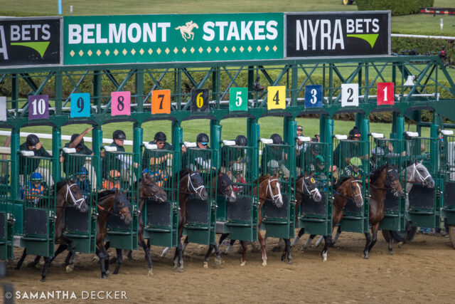 One week from today!

© Samantha Decker.  All rights reserved.  Permission must be obtained for reuse.
.
.
.
.
.
#iloveny #ilovenewyork #upstateny #upstatenewyork #thisisuspstate #newyorkonly #newyorksbackyard #saratogacounty #ilovesaratoga #saratoga #saratogasprings #saratogaspringsny #discoversaratoga #canon #canonphotography #teamcanon #horsesofinstagram #thoroughbredsofinstagram #saratogaracetrack #saratogaracecourse #belmontstakes