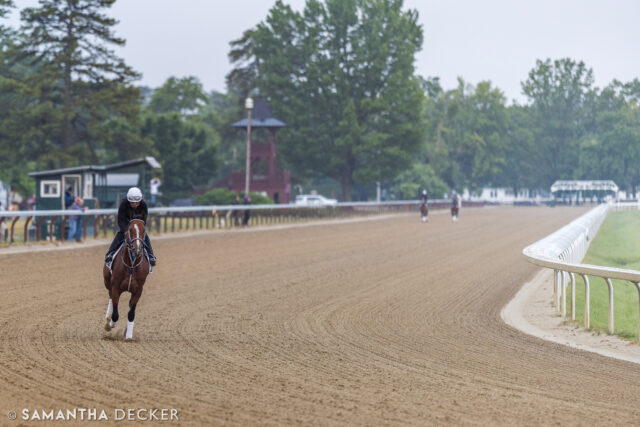 @kentuckyderby winner Mystik Dan returns to the track where he took the Run for the Roses last year to run in the Grade III Blame Stakes at @churchilldowns today.  The Kenny McPeek trainee was a game second in the Ouachita Stakes at @oaklawnhotsprings last out.

© Samantha Decker.  All rights reserved.  Permission must be obtained for reuse.
.
.
.
.
.
#iloveny #ilovenewyork #upstateny #upstatenewyork #thisisuspstate #newyorkonly #newyorksbackyard #saratogacounty #ilovesaratoga #saratoga #saratogasprings #saratogaspringsny #discoversaratoga #canon #canonphotography #teamcanon #horsesofinstagram #thoroughbredsofinstagram #oklahomatrainingtrack