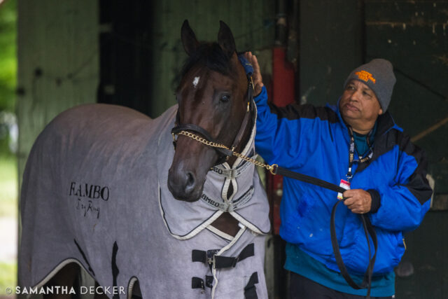 Busy morning at the Spa!  Some of the Belmont Stakes  contenders I saw today:  Baeza, Rodriguez, Journalism, Sovereignty, and Hill Road

Shot for the @saratoga_special 

© Samantha Decker.  All rights reserved.  Permission must be obtained for reuse.
.
.
.
.
.
#iloveny #ilovenewyork #upstateny #upstatenewyork #thisisuspstate #newyorkonly #newyorksbackyard #saratogacounty #ilovesaratoga #saratoga #saratogasprings #saratogaspringsny #discoversaratoga #canon #canonphotography #teamcanon #horsesofinstagram #thoroughbredsofinstagram #saratogaracetrack #saratogaracecourse