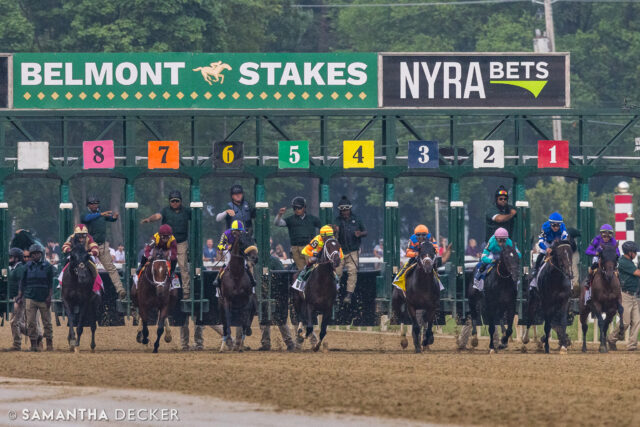🎶 Start spreadin' the news! 🎶 Belatoga is BACK for one more year in 2026!  So lucky to have it in my backyard one last time before the new Belmont is unveiled to the world.

Shot for the @saratoga_special 

© Samantha Decker.  All rights reserved.  Permission must be obtained for reuse.
.
.
.
.
.
#iloveny #ilovenewyork #upstateny #upstatenewyork #thisisuspstate #newyorkonly #newyorksbackyard #saratogacounty #ilovesaratoga #saratoga #saratogasprings #saratogaspringsny #discoversaratoga #canon #canonphotography #teamcanon #horsesofinstagram #thoroughbredsofinstagram #saratogaracetrack #saratogaracecourse #belmontstakes