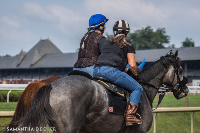 @belmontstakes winners of yore:  Us Saratogians were spoiled by 2023 Arcangelo's presence in town from June through October of that year.

© Samantha Decker.  All rights reserved.  Permission must be obtained for reuse.
.
.
.
.
.
#iloveny #ilovenewyork #upstateny #upstatenewyork #thisisuspstate #newyorkonly #newyorksbackyard #saratogacounty #ilovesaratoga #saratoga #saratogasprings #saratogaspringsny #discoversaratoga #canon #canonphotography #teamcanon #horsesofinstagram #thoroughbredsofinstagram #saratogaracetrack #saratogaracecourse #belmontstakes