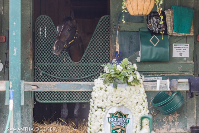 Hanging out with Sovereignty and company at the Mott barn this morning after his win in the @belmontstakes!

Shot for the @saratoga_special 

© Samantha Decker.  All rights reserved.  Permission must be obtained for reuse.
.
.
.
.
.
#iloveny #ilovenewyork #upstateny #upstatenewyork #thisisuspstate #newyorkonly #newyorksbackyard #saratogacounty #ilovesaratoga #saratoga #saratogasprings #saratogaspringsny #discoversaratoga #canon #canonphotography #teamcanon #horsesofinstagram #thoroughbredsofinstagram #oklahomatrainingtrack