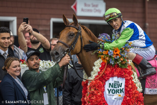 From yesterday:  She Feels Pretty took the New York Stakes at Saratoga, earning her third Grade I victory.

Shot for the @saratoga_special 

© Samantha Decker.  All rights reserved.  Permission must be obtained for reuse.
.
.
.
.
.
#iloveny #ilovenewyork #upstateny #upstatenewyork #thisisuspstate #newyorkonly #newyorksbackyard #saratogacounty #ilovesaratoga #saratoga #saratogasprings #saratogaspringsny #discoversaratoga #canon #canonphotography #teamcanon #horsesofinstagram #thoroughbredsofinstagram #saratogaracetrack #saratogaracecourse