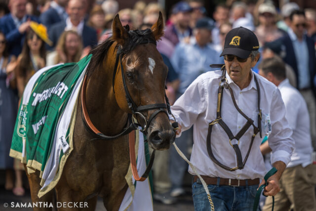 From @belmontstakes day:  Book'em Danno, who won the Woody Stephens on Belmont day last year, takes the Grade III True North with Paco Lopez onboard.

Shot for the @saratoga_special 

© Samantha Decker.  All rights reserved.  Permission must be obtained for reuse.
.
.
.
.
.
#iloveny #ilovenewyork #upstateny #upstatenewyork #thisisuspstate #newyorkonly #newyorksbackyard #saratogacounty #ilovesaratoga #saratoga #saratogasprings #saratogaspringsny #discoversaratoga #canon #canonphotography #teamcanon #horsesofinstagram #thoroughbredsofinstagram #saratogaracetrack #saratogaracecourse