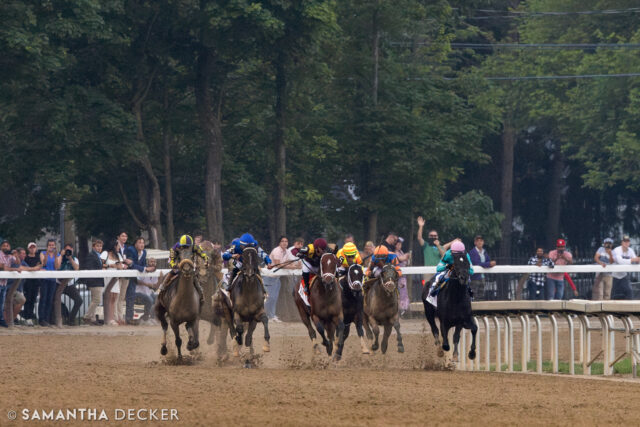Down the stretch in the @belmontstakes!

Shot for the @saratoga_special 

© Samantha Decker.  All rights reserved.  Permission must be obtained for reuse.
.
.
.
.
.
#iloveny #ilovenewyork #upstateny #upstatenewyork #thisisuspstate #newyorkonly #newyorksbackyard #saratogacounty #ilovesaratoga #saratoga #saratogasprings #saratogaspringsny #discoversaratoga #canon #canonphotography #teamcanon #horsesofinstagram #thoroughbredsofinstagram #saratogaracetrack #saratogaracecourse #belmontstakes