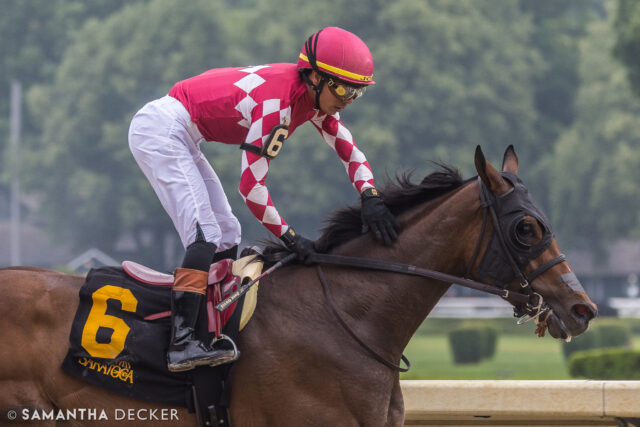 Still going through photos from @belmontstakes weekend:  Here's Nitrogen winning an off the turf Grade III Wonder Again Stakes with José Ortiz onboard in her fifth consecutive stakes victory.

Shot for the @saratoga_special 

© Samantha Decker.  All rights reserved.  Permission must be obtained for reuse.
.
.
.
.
.
#iloveny #ilovenewyork #upstateny #upstatenewyork #thisisuspstate #newyorkonly #newyorksbackyard #saratogacounty #ilovesaratoga #saratoga #saratogasprings #saratogaspringsny #discoversaratoga #canon #canonphotography #teamcanon #horsesofinstagram #thoroughbredsofinstagram #saratogaracetrack #saratogaracecourse