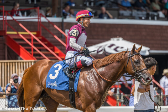 GSP Rebel Red is entered in the Chorleywood Stakes at @churchilldowns on Saturday.  The @cdevauxracing trainee won an allowance race at Saratoga last summer.

Shot for the @saratoga_special 

© Samantha Decker.  All rights reserved.  Permission must be obtained for reuse.
.
.
.
.
.
#iloveny #ilovenewyork #upstateny #upstatenewyork #thisisuspstate #newyorkonly #newyorksbackyard #saratogacounty #ilovesaratoga #saratoga #saratogasprings #saratogaspringsny #discoversaratoga #canon #canonphotography #teamcanon #horsesofinstagram #thoroughbredsofinstagram #saratogaracetrack #saratogaracecourse