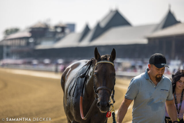 GSW and fan favorite Baby Yoda makes his seasonal debut in an allowance optional claiming race at Belmont at the Big A today.  The Bill Mott trainee is seeking his first victory since winning the Grade II True North Stakes at Saratoga last year.

Shot for the @saratoga_special 

© Samantha Decker.  All rights reserved.  Permission must be obtained for reuse.
.
.
.
.
.
#iloveny #ilovenewyork #upstateny #upstatenewyork #thisisuspstate #newyorkonly #newyorksbackyard #saratogacounty #ilovesaratoga #saratoga #saratogasprings #saratogaspringsny #discoversaratoga #canon #canonphotography #teamcanon #horsesofinstagram #thoroughbredsofinstagram #saratogaracetrack #saratogaracecourse