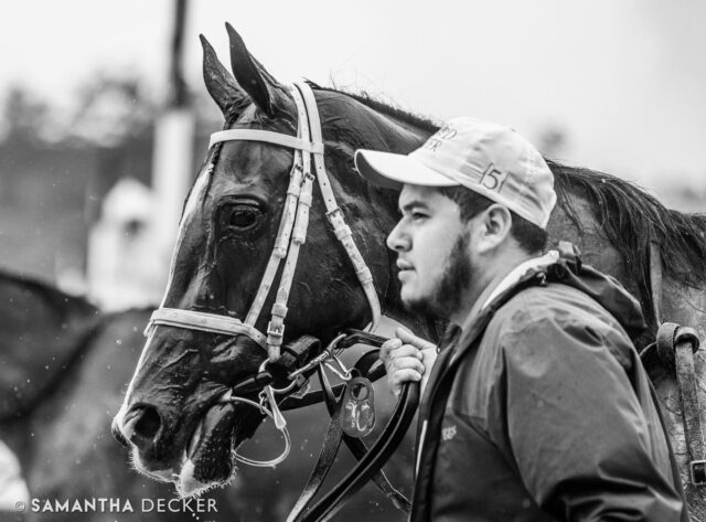 Saratoga is known as the Graveyard of Champions.  Kentucky Oaks winner Good Cheer was unbeaten in seven starts going into the Grade I Acorn Stakes on June 6, but it just wasn’t the filly’s day.  Part of what makes racing so exciting is that nothing is for sure.  That being said, I hope we see more good things from Good Cheer in the future!

Shot for the @saratoga_special 

Created in @procreate on my iPad Pro with an @apple Pencil and brushes from @bardotbrush 

© Samantha Decker. All rights reserved. Permission must be obtained for reuse.
.
.
.
.
.
#procreate #procreateart #illustration #procreateillustration #doodlesofinstagram #digitalillustration #bardotbrush #discoversaratoga #upstateny #iloveny #ilovesaratoga #saratogasprings #saratogaspringsny #horsesofinstagram #thoroughbredsofinstagram