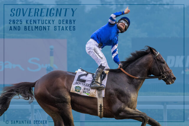 I really liked this frame of Sovereignty with Junior pointing upward, but I found the ads in the background distracting, so I added this blue background.  A little something different.  And, as much as I have my issues with Adobe (and I have a lot), Photoshop's subject selection tool has gotten amazing.

Shot for the @saratoga_special 

© Samantha Decker.  All rights reserved.  Permission must be obtained for reuse.
.
.
.
.
.
#iloveny #ilovenewyork #upstateny #upstatenewyork #thisisuspstate #newyorkonly #newyorksbackyard #saratogacounty #ilovesaratoga #saratoga #saratogasprings #saratogaspringsny #discoversaratoga #canon #canonphotography #teamcanon #horsesofinstagram #thoroughbredsofinstagram #saratogaracetrack #saratogaracecourse
